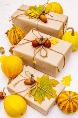 Sıfır atık hediye konsepti, plastik yaşam tarzı yok. Karton kutular, mini balkabakları, meşe palamutları ve dökülen yapraklarla yaratıcı bir sonbahar dekoru. Beyaz macun arka planında Şükran Günü ya da Cadılar Bayramı konsepti, kapat