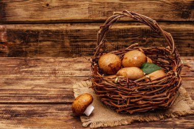Kahverengi kraliyet şampiyonu mantarları el yapımı hasır sepette. Eski kırsal masada sağlıklı bir yaşam için işlenmemiş malzeme, kopyalama alanı.
