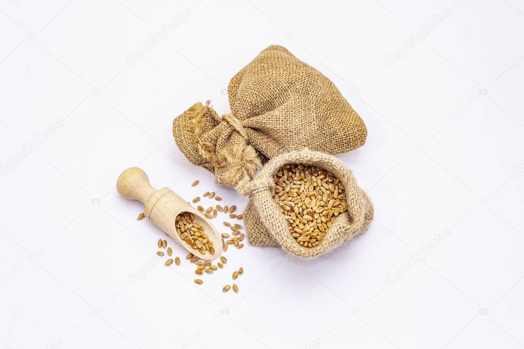 Whole peeled wheat grains isolated on white background. A traditional ingredient in healthy food preparation. Wooden scoop and handmade sacks