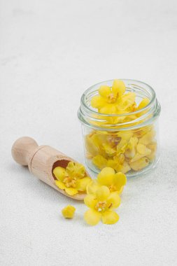 Küçük cam bir kavanozda taze Verbascum çiçekleri. Alternatif tıp, geleneksel bitkisel malzeme, düz döşeme, dokulu gri arkaplan, kopyalama alanı