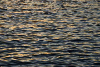 Yaz mevsiminde turuncu arka planda güzel bir gün batımı