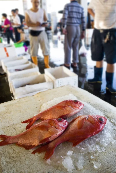 Świeże Surowe Ryby Targu Rybnym — Zdjęcie stockowe
