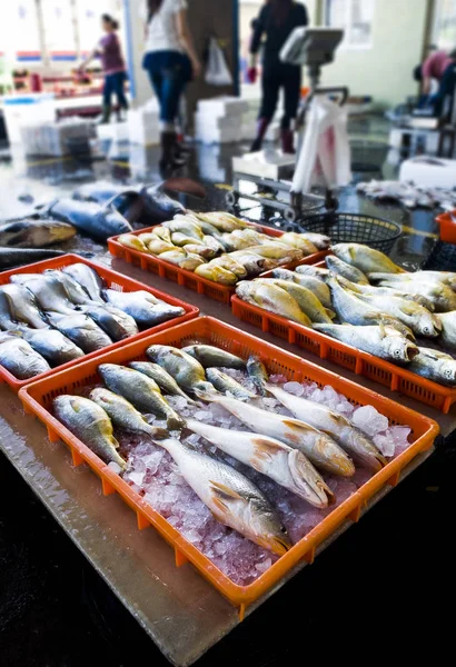 Peixe Cru Fresco Mercado Dos Peixes — Fotografia de Stock