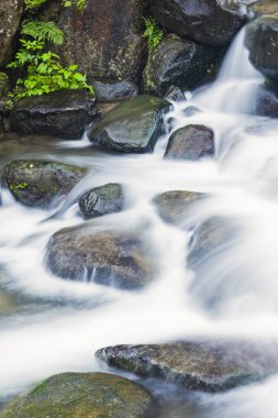 Closeup şelale, doğal arka plan.