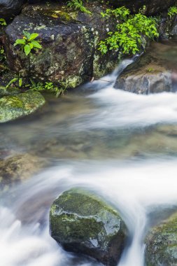 Closeup şelale, doğal arka plan.