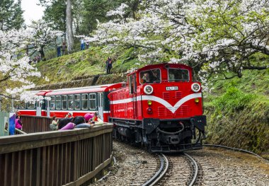 Alişan orman tren Chiayi, Tayvan.