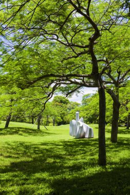 Parktaki yeşil ağaçlar