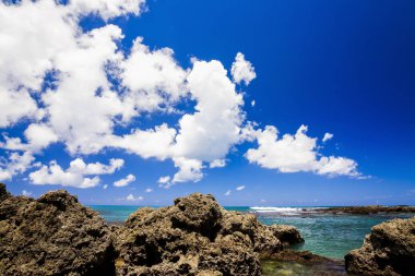 Kıyı resif ve mavi gökyüzü ile dalga 