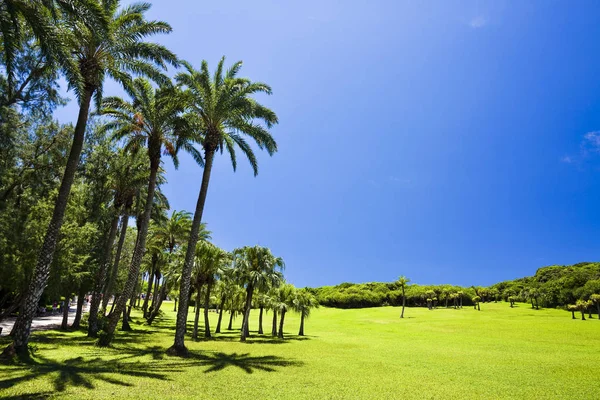 台湾南部垦丁国家公园美丽的草地 — 图库照片