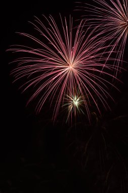 Siyah arkaplanda renkli havai fişekler