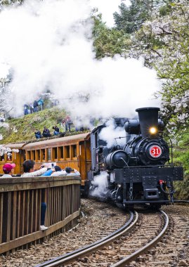 Buharlı tren Alişan Chiayi, Tayvan.