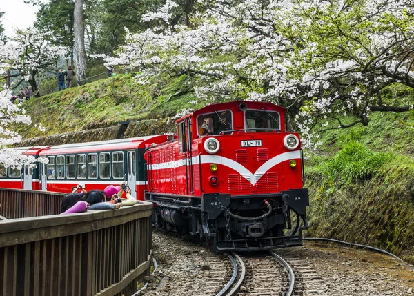 Alişan orman tren Chiayi, Tayvan.