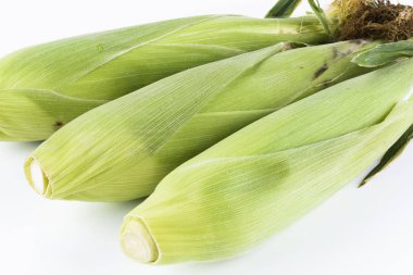 Beyaz arkaplanda tatlı mısır