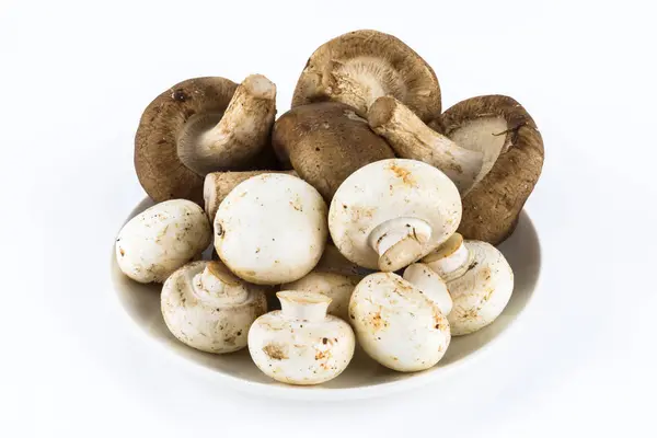 Mushrooms White Background — Stock Photo, Image