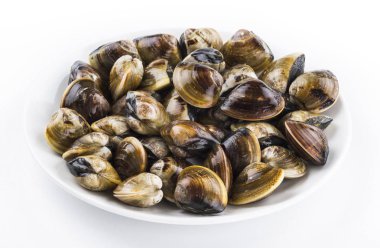 Taze çiğ istiridye beyaz zemin üzerine yığılmış