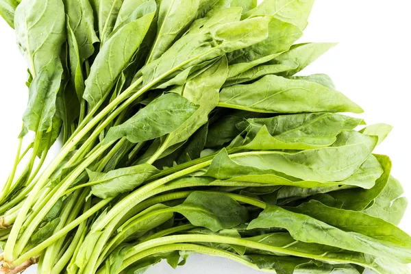 Organic Spinach Isolated White Background — Stock Photo, Image