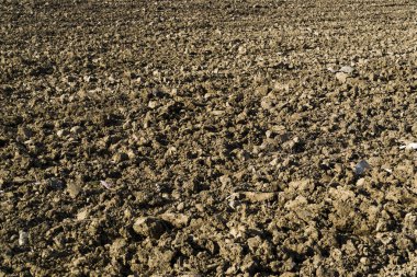 Arka planda yeni koparılmış alan