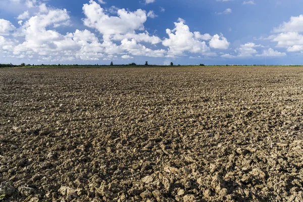 Newly Ploughed Field Sky — Stock Photo, Image