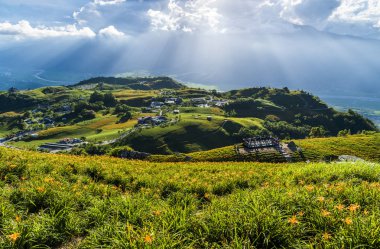 Tayvan, Huiwan 'ın 60 taş dağındaki güzel çiçekli dağ..