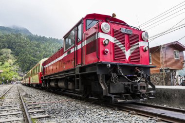 Alishan Ormanı treni Fenchihu tren istasyonunda, Alishan Ulusal Sahne Bölgesi.