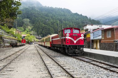 Alishan Ormanı treni Fenchihu tren istasyonunda, Alishan Ulusal Sahne Bölgesi.