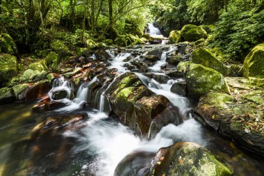 Kayaların ve taşların arasından akan dere ya da dere suyu