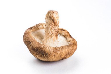 Beyaz arkaplanda mantarlar