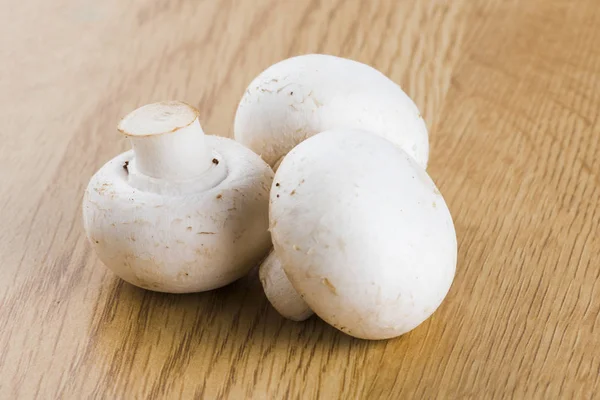 Mushrooms White Background — Stock Photo, Image