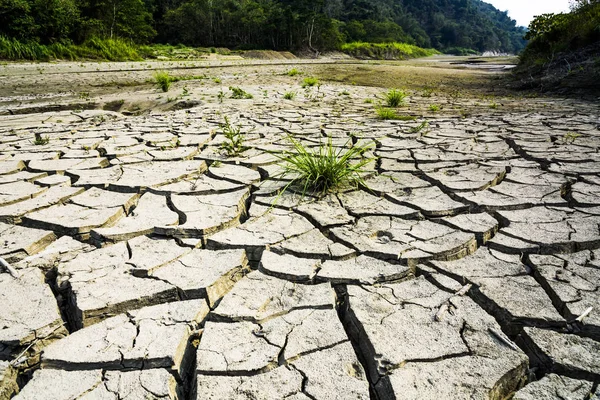 Dry lake bed with natural texture of cracked clay in perspective floor.