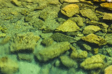 Göletin altındaki taş, arka plan gibi yakın plan..