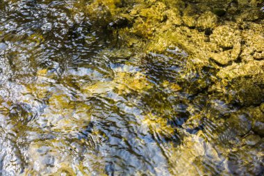 Kayaların ve taşların arasından akan dere ya da dere suyu