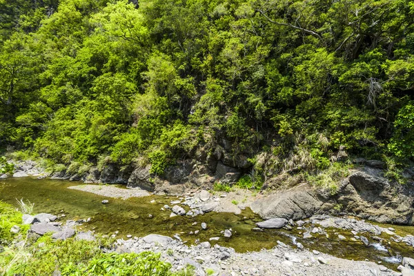 Valle Del Río Con Hermoso Bosque —  Fotos de Stock