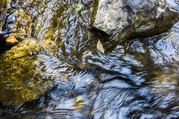 Creek Stream Water Flowing Rocks Stones — Stock Photo, Image