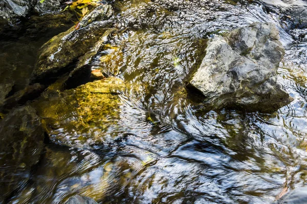 Creek Stream Water Flowing Rocks Stones — Stock Photo, Image