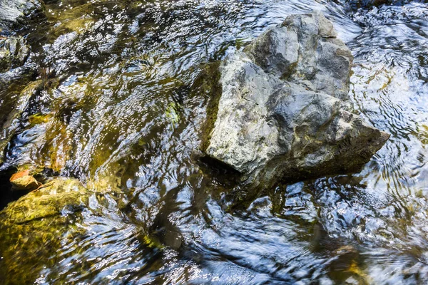 Creek Stream Water Flowing Rocks Stones — Stock Photo, Image