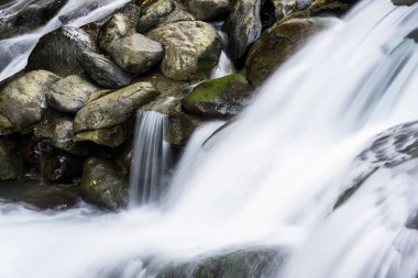 Taşların arasından akan bir dere ya da dere manzarası.