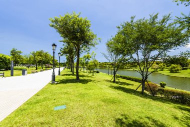 Tayvan 'daki güzel Tainan Büyükşehir Parkı. Burası halka açık ücretsiz bir alan..
