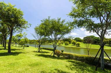 Tayvan 'daki güzel Tainan Büyükşehir Parkı. Burası halka açık ücretsiz bir alan..