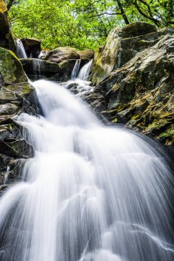 Yakın şelale, doğal arkaplan