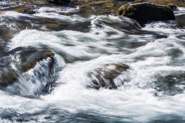 Kayaların ve taşların arasından akan dere ya da dere suyu