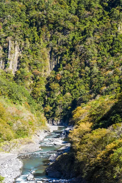 Valle Del Río Con Hermoso Bosque — Foto de Stock