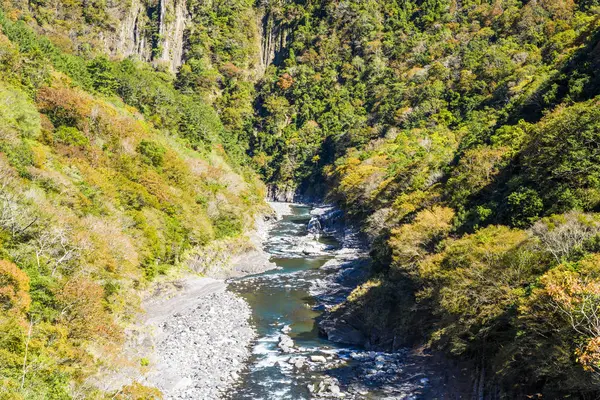 Tal Des Flusses Mit Wunderschönem Wald Taiwan — Stockfoto