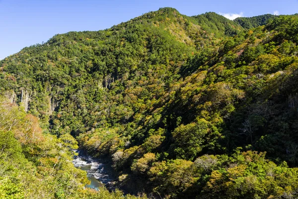 Tal Des Flusses Mit Wunderschönem Wald Taiwan — Stockfoto