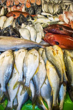 Kaohsiung, Tayvan 'daki balık pazarında taze deniz ürünlerine yakın çekim..