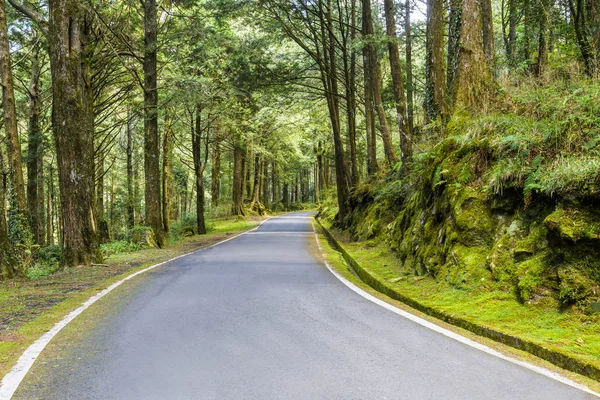 Die Asphaltstraße Durch Den Wald Alishan Forest Recreation Area Chiayi — Stockfoto