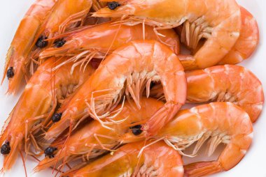 Beyaz arka planda izole edilmiş taze haşlanmış karides yakın plan.