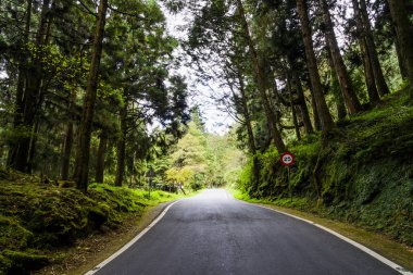 Ormandaki asfalt yol, Chiayi, Tayvan 'daki Alishan Orman Dinlenme Alanı..