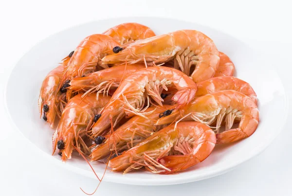 Beyaz arka planda izole edilmiş taze haşlanmış karides yakın plan.