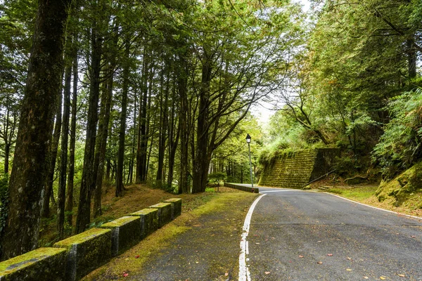 Die Asphaltstraße Durch Den Wald Alishan Forest Recreation Area Chiayi — Stockfoto