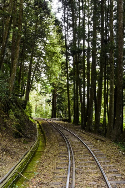 Alishan Forest Railway Alishan Forest Recreation Area Chiayi Taiwan — Stock Photo, Image